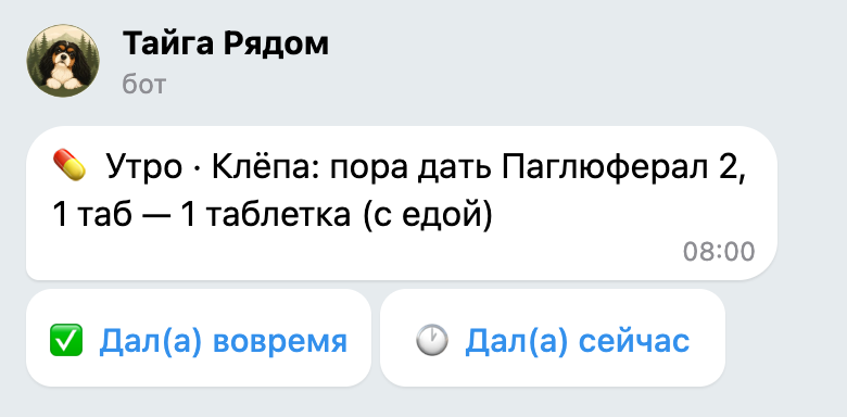 Сообщение бота в Telegram: «Утро · Клёпа: пора дать Паглюферал 2, 1 таб — 1 таблетка (с едой)» и две кнопки — «Дал(а) вовремя» и «Дал(а) сейчас»